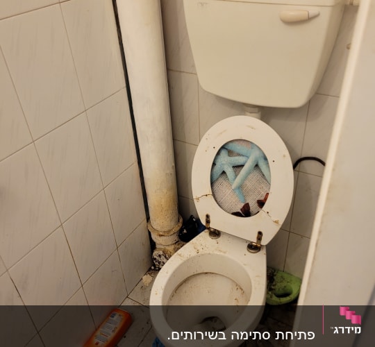 אסלה מלוכלכת עם כפפות וכלי ניקוי על הרצפה